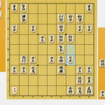 穴熊 将棋　