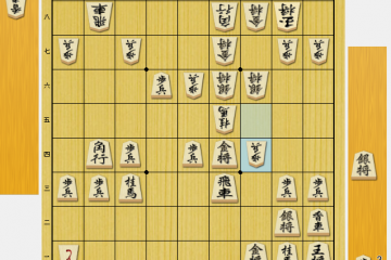 穴熊 将棋　